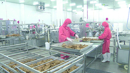 图片新闻 食品代理与销售——连接美味与消费者的桥梁